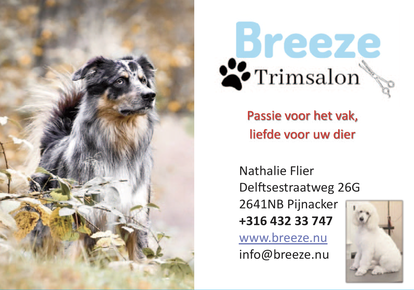 Breeze Trimsalon
